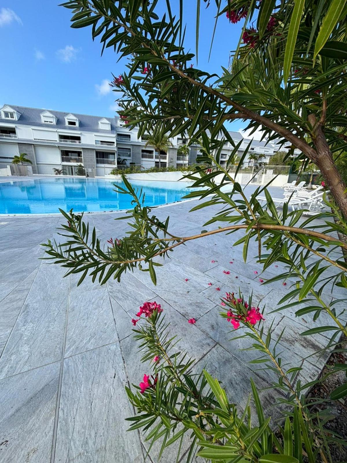 Easy Friendly Sxm Apartamento Cul de Sac Exterior foto